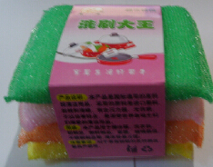 名称：毛葱 规格：11公分 编码：005-5